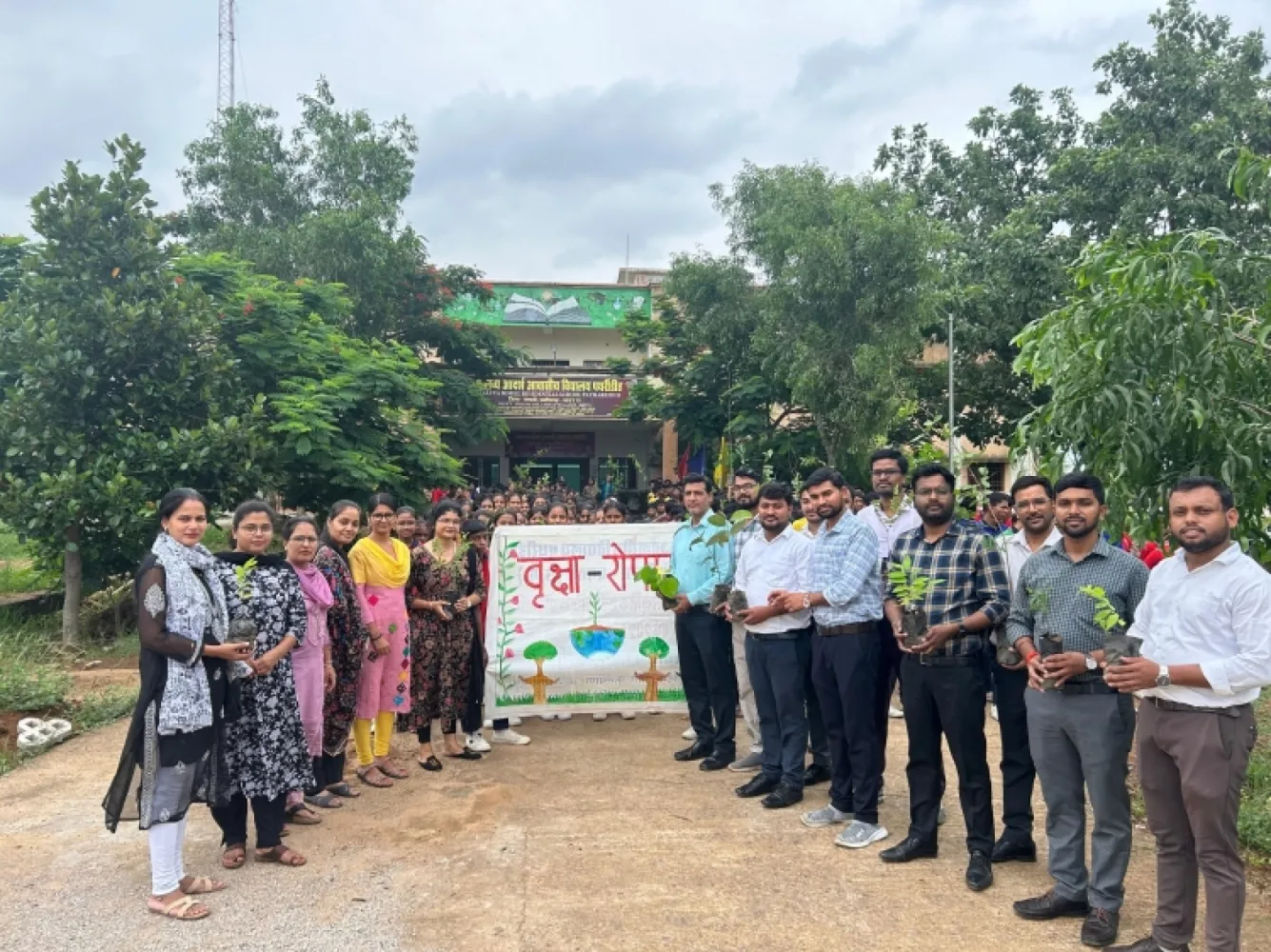 Tree Plantation